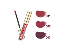 Load image into Gallery viewer, Pupa Rock & Rose Metal Matt Lip Fluid - La Maison de Marie Webshop