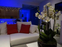 Load image into Gallery viewer, 2 uur Privé Deluxe Wellness (Cadeaubon) - La Maison de Marie Webshop