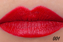 Load image into Gallery viewer, Pupa Rock &amp; Rose Metal Matt Lip Fluid - La Maison de Marie Webshop
